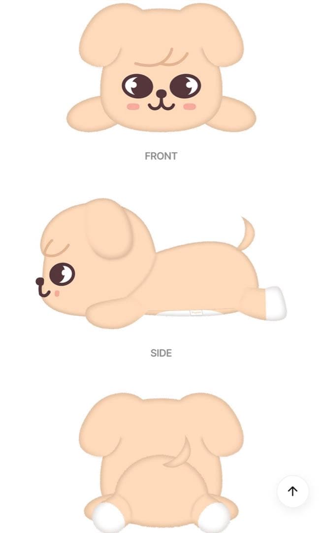 Stray kids SKZOO スキズ　メンプロ　パピームぬいぐるみ　スンミン