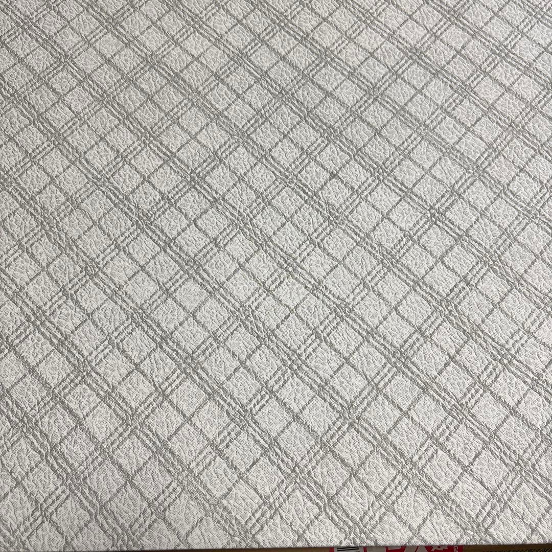 SPY×FAMILY額装高精細デジタルカラー