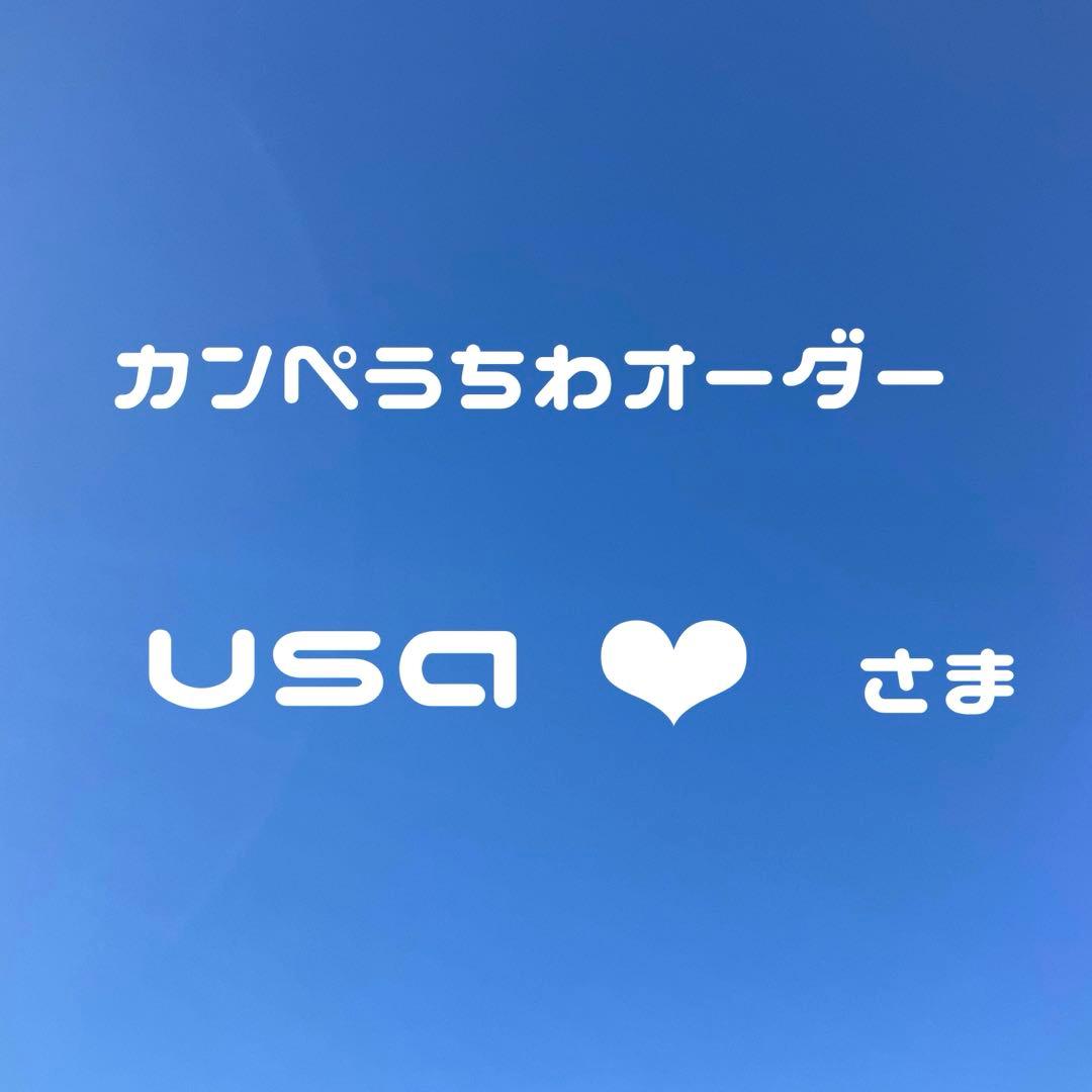 カンペうちわオーダー+既製品1枚【usa❤︎】
