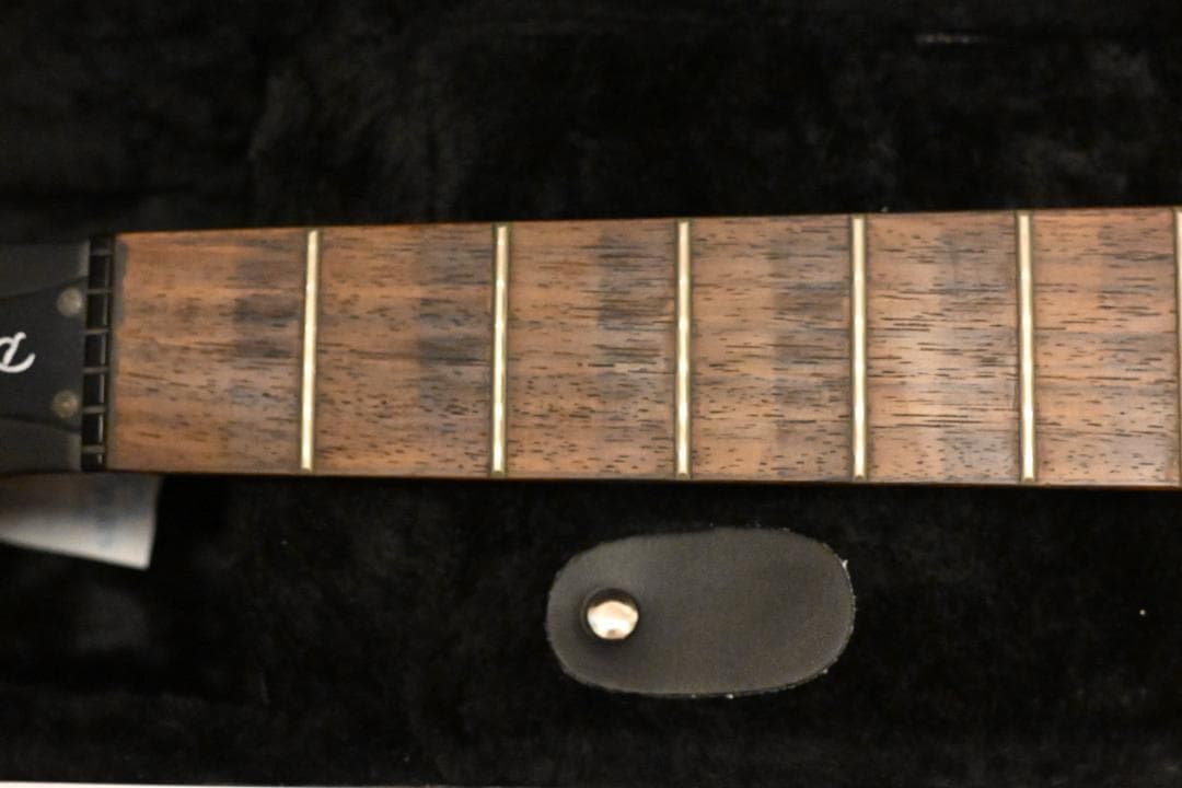 Epiphone dot studio ケース付き