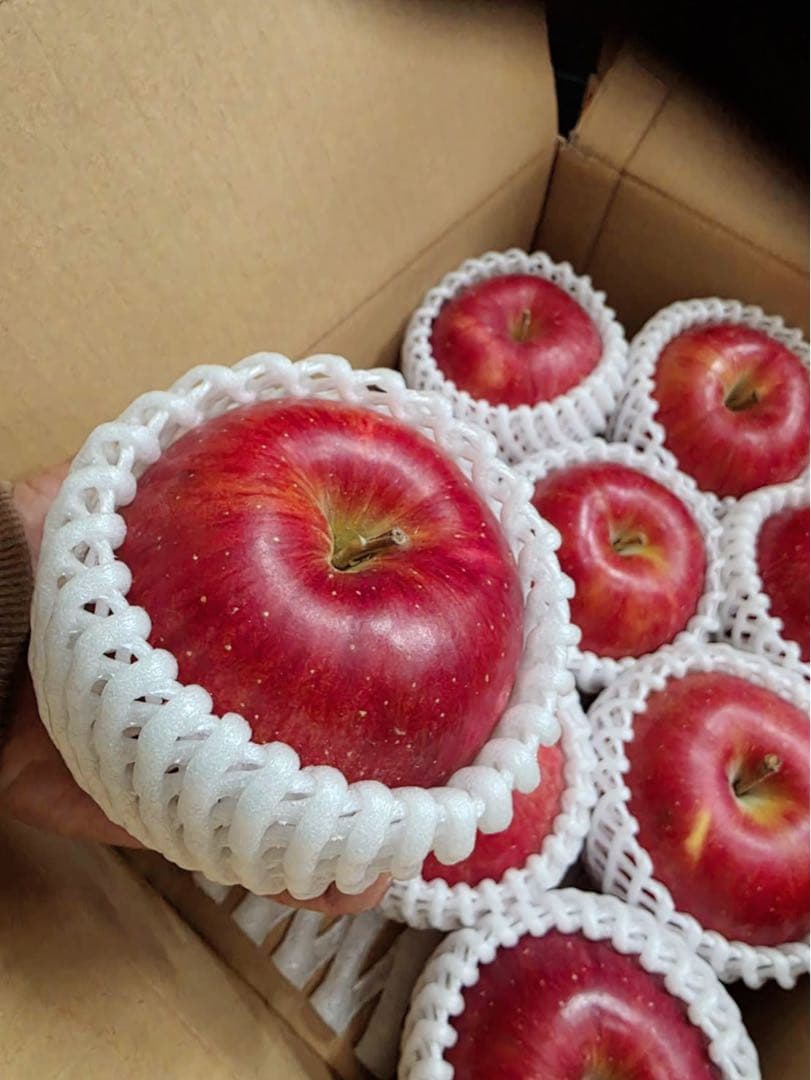 数量限定！ シナノスイート　家庭用10kg