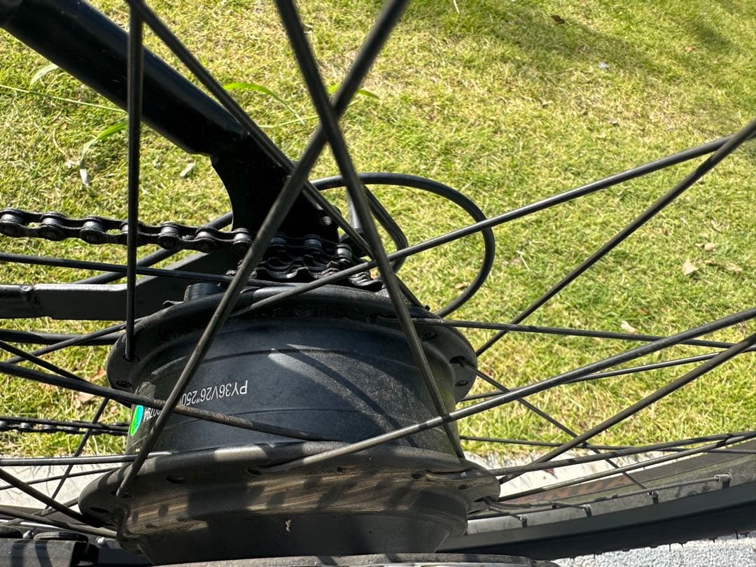 電動アシスト自転車 BRANJAY 電動自転車 ダブルバッテリー (FRIKE)