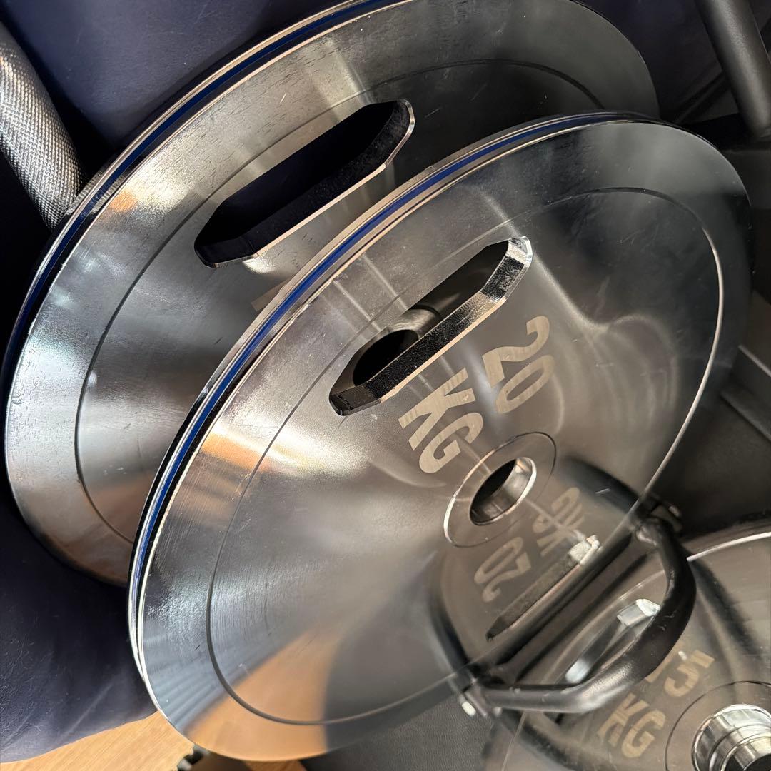 20kg ダンベルプレート シルバー/紫