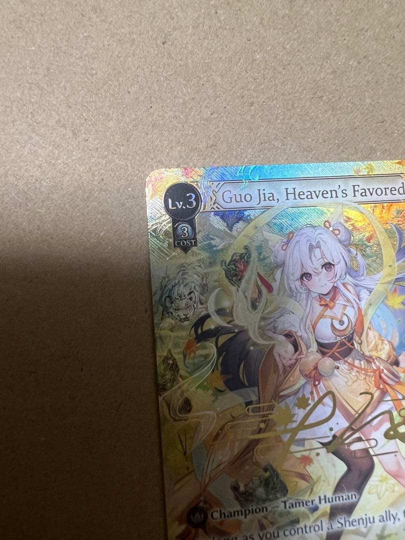 タルモ　Guo Jia CSR grand archive GA