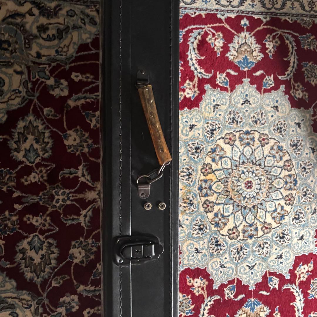 Epiphone Zv Zakk Wylde Custom Black HC付