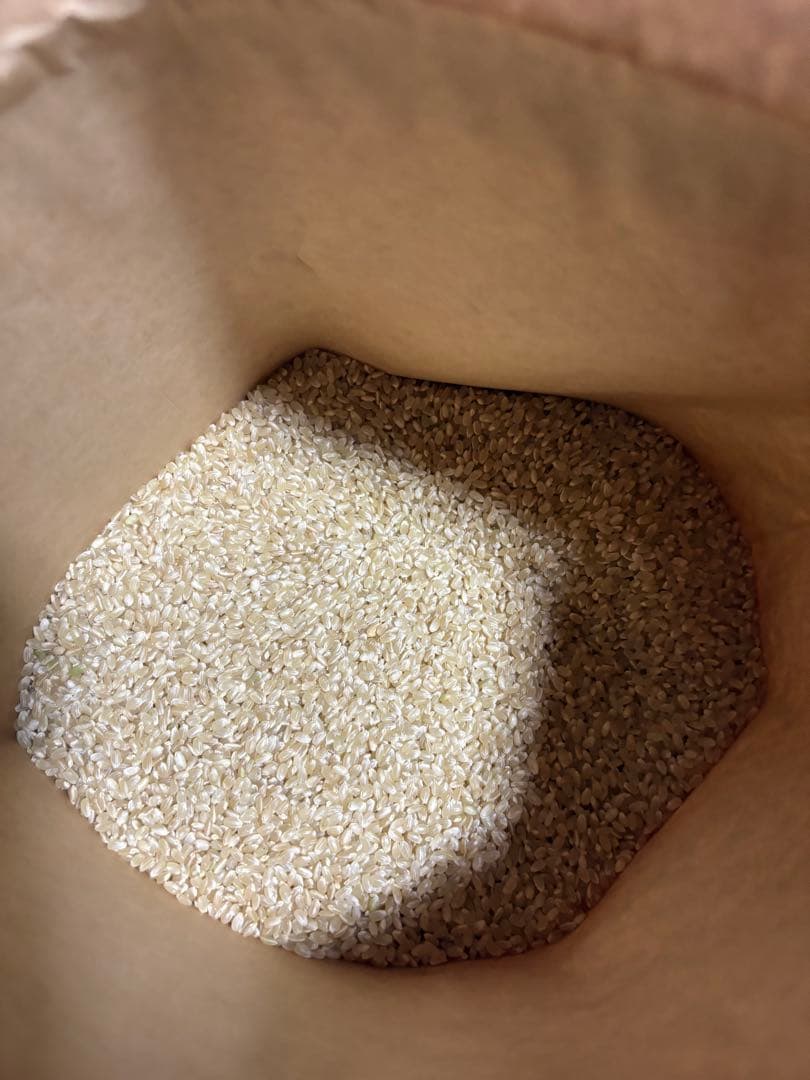 福島県産コシヒカリ玄米20kg
