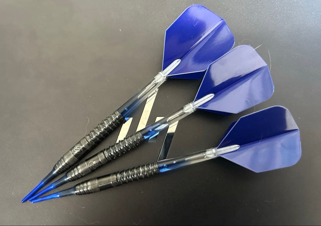 【廃盤激レア】ダーツ　ターゲット　MAYO G02 DLC LIMITED