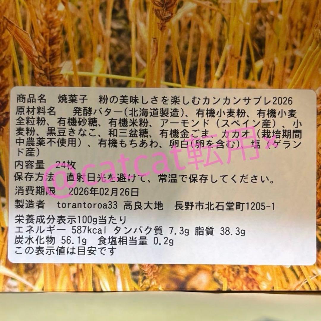 torantoroa 33 トラントロア カンカンサブレ2026 サロショ