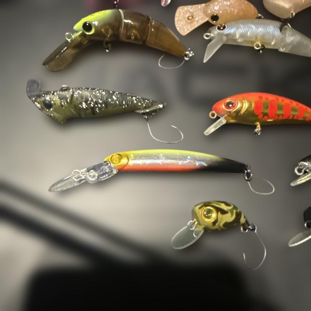 エリアトラウトルアーセット