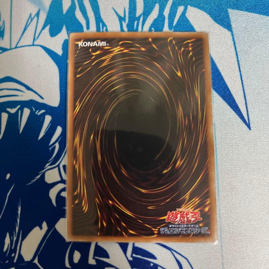 ぬ*す様 白き森のリゼット　25thシークレット