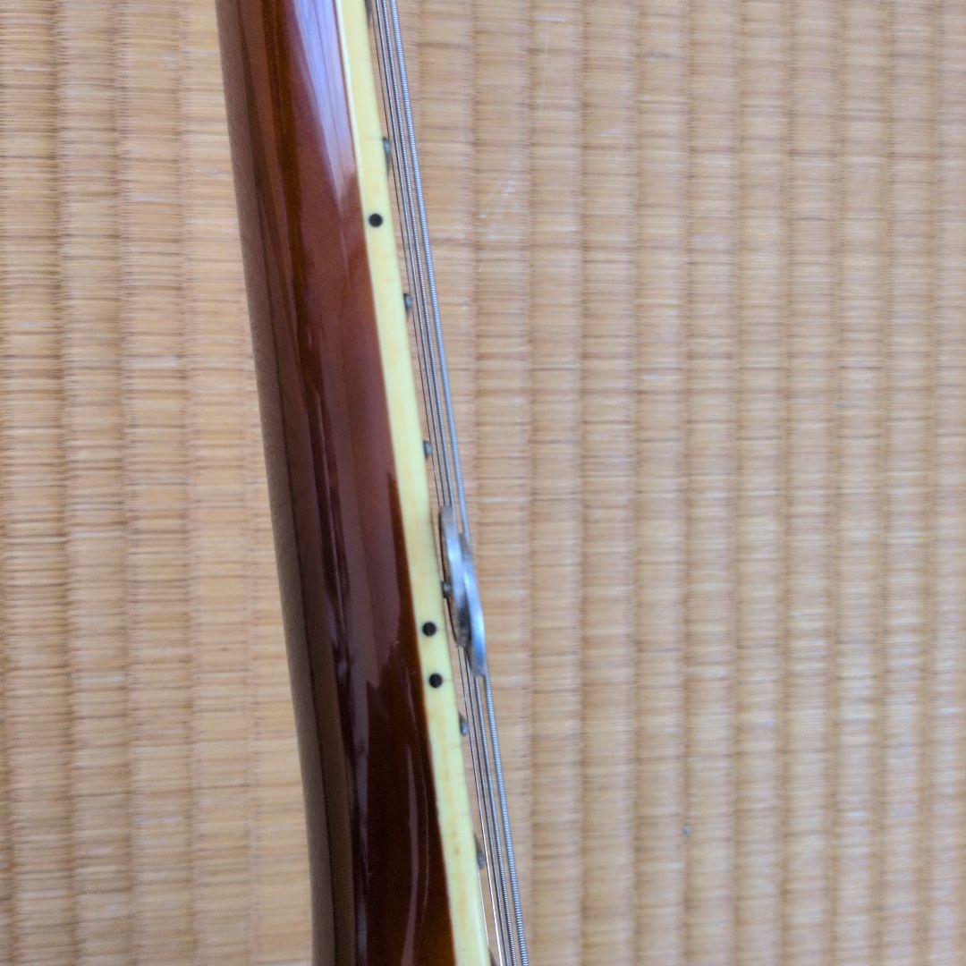 価格交渉ご自由に!レリック　ギター