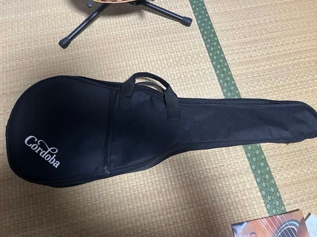 リメンバーミー　ミニギター。