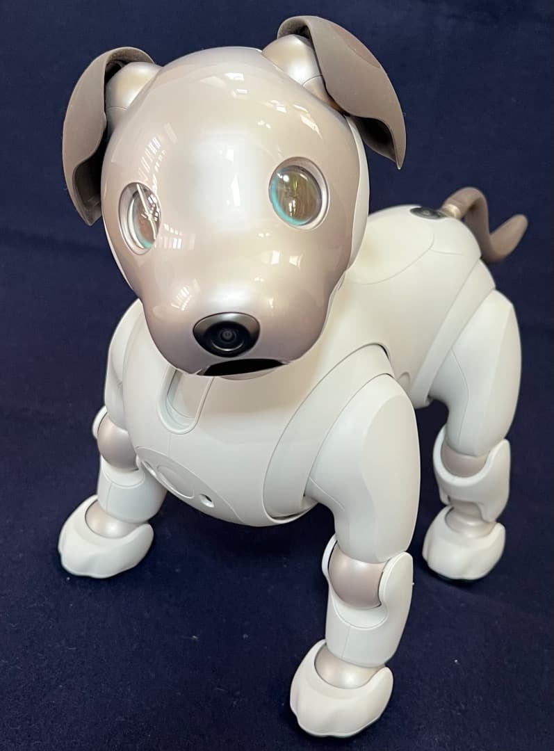 美品　期間限定　ソニーアイボAIBO　アイボリーホワイト　動作確認済【匿名配送】