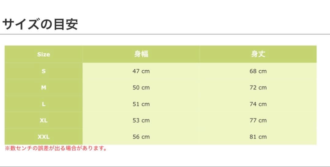 バレーボール　練習着　Tシャツ　セリエA