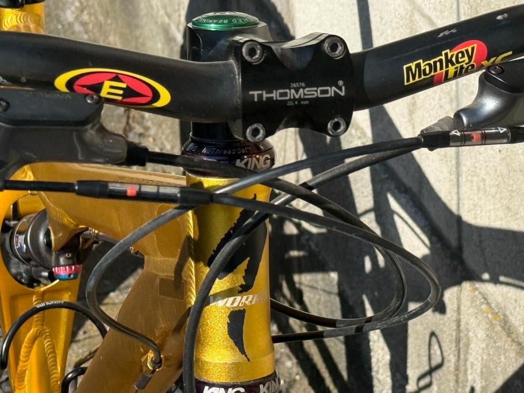 SPECIALIZED S-WORKS + フルXTR里山仕様