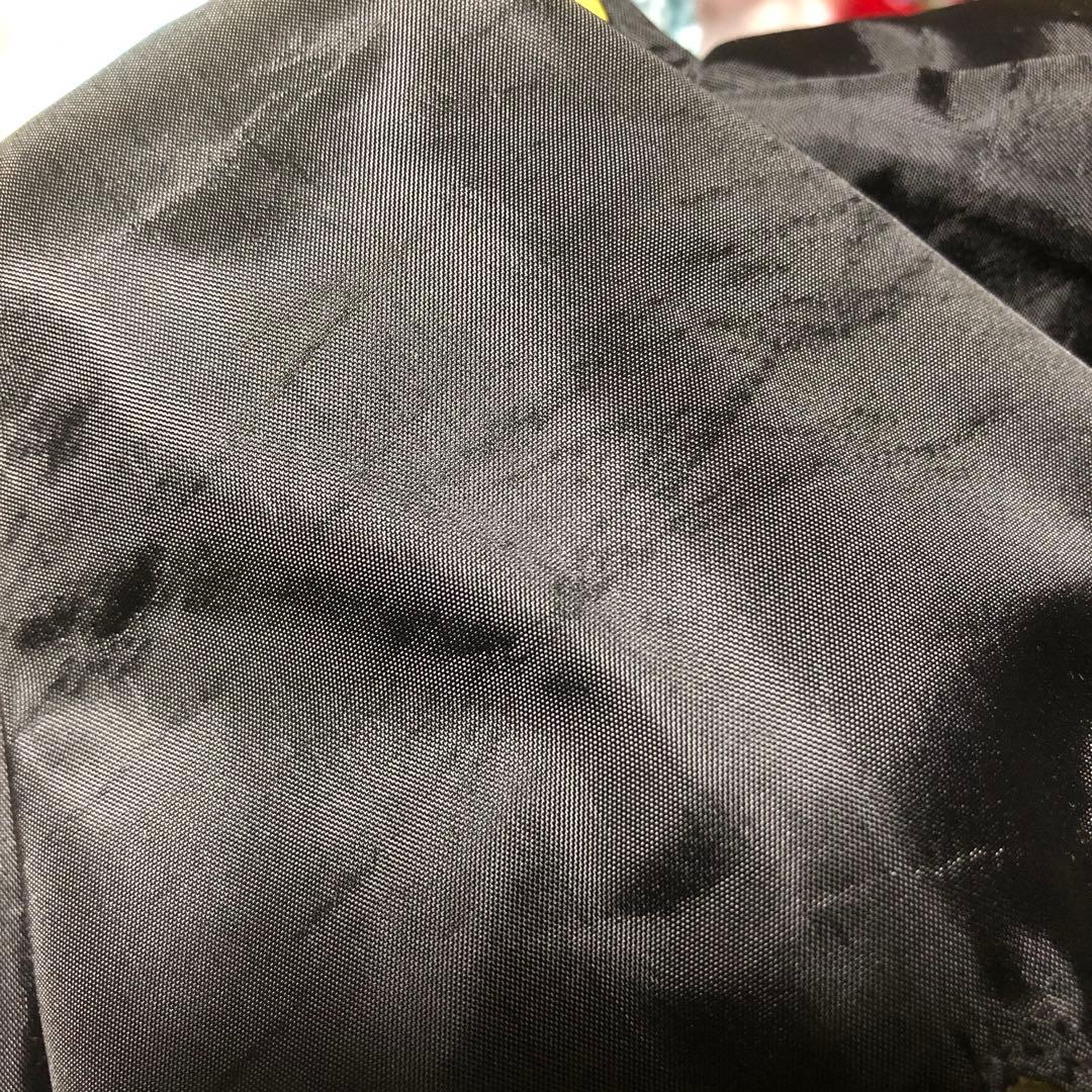 ポケセン/ゼラオラ/ぬいぐるみ/バンドフェス