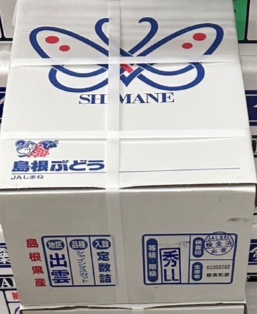 60【島根県産】シャインマスカット約2キロ(3〜5房)×2