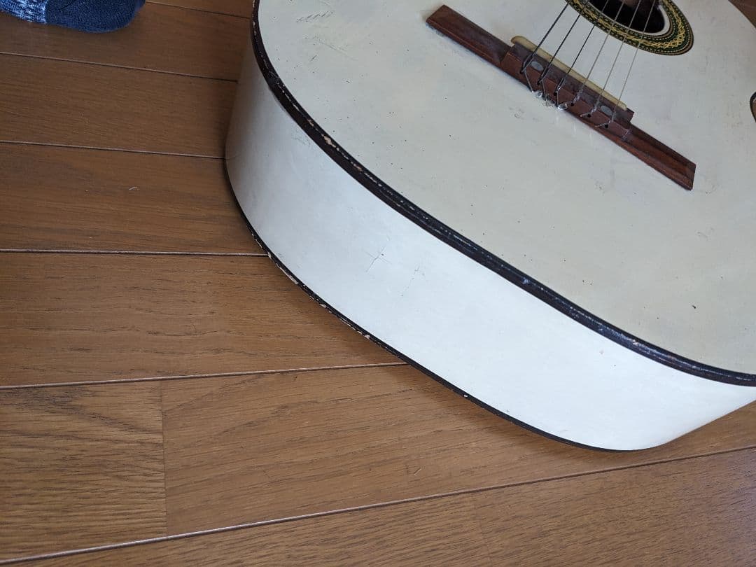 PALOMAアコースティックギター白(⁠ ⁠ꈍ⁠ᴗ⁠ꈍ⁠)