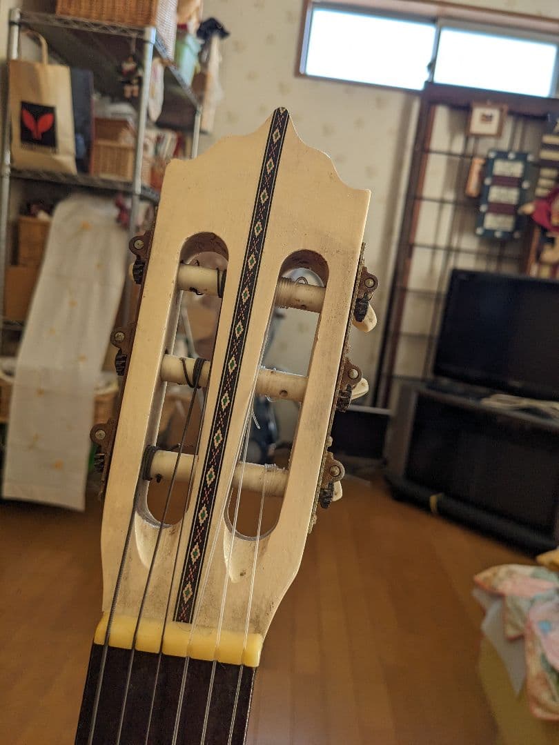 PALOMAアコースティックギター白(⁠ ⁠ꈍ⁠ᴗ⁠ꈍ⁠)