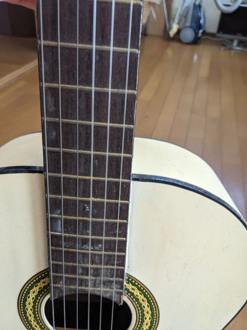 PALOMAアコースティックギター白(⁠ ⁠ꈍ⁠ᴗ⁠ꈍ⁠)