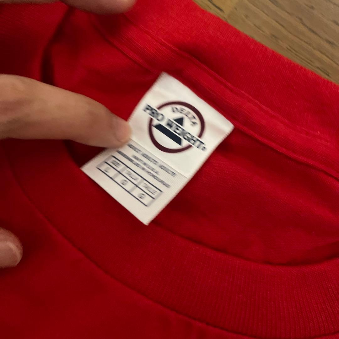 希少 新品未使用！ back number 【インディーズ】2010 Tシャツ