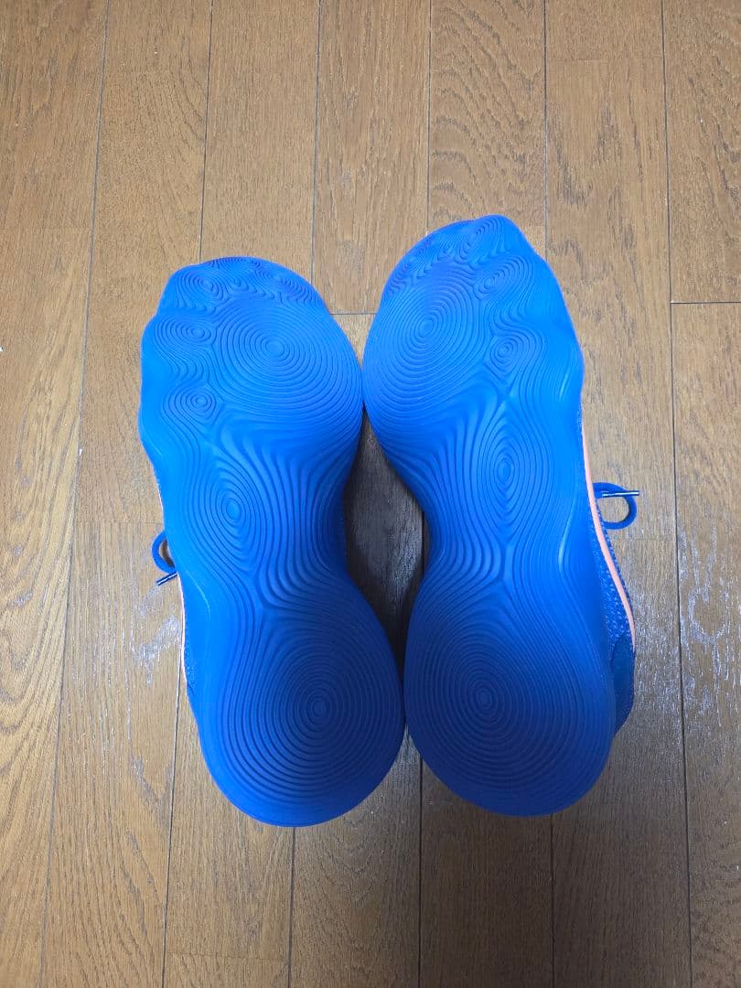 シューズ(男性用) Nike hyperdunk 2017 low