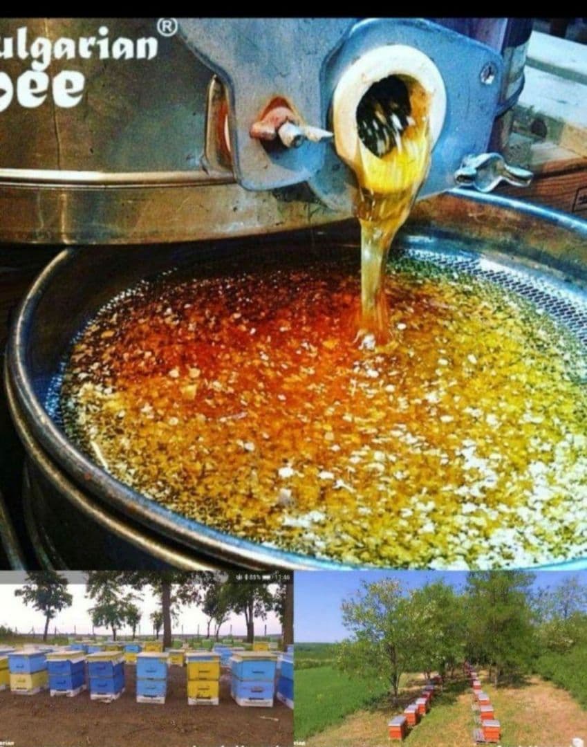 1.800g【輸入者直売】450g4瓶生オーガニックアカシアはちみつブルガリア産