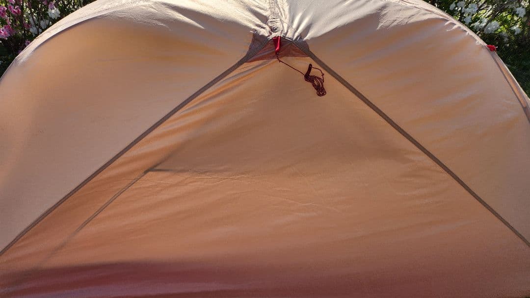 MSR エムエスアール｜エリクサー1 #タン 、フットプリント付き