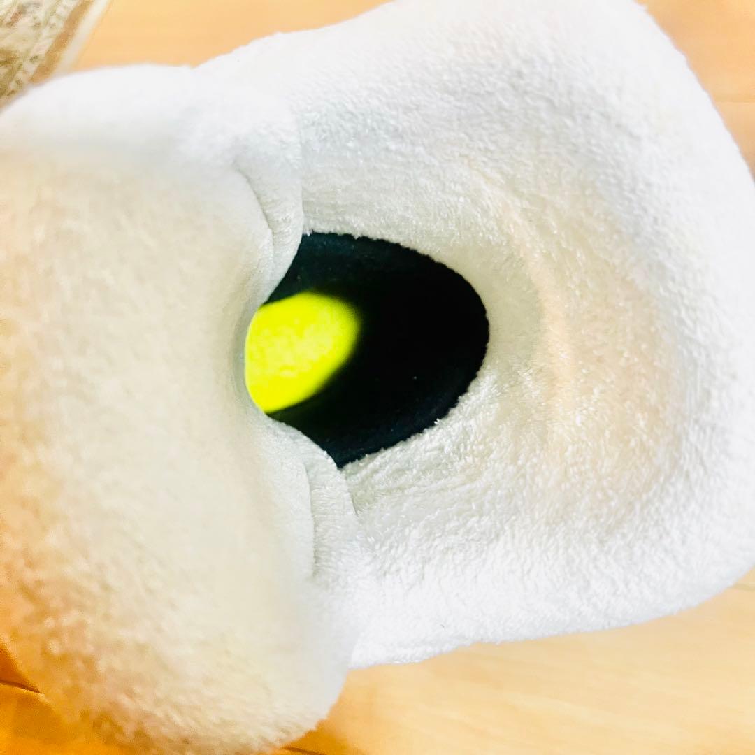 極美品 ロシニョール 22〜23.5 スキーブーツ レディース キッズ 初心者