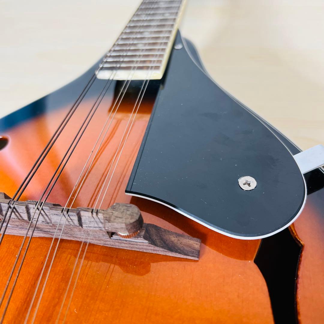 ARIA AM-20 マンドリン 8弦 ハードケース付