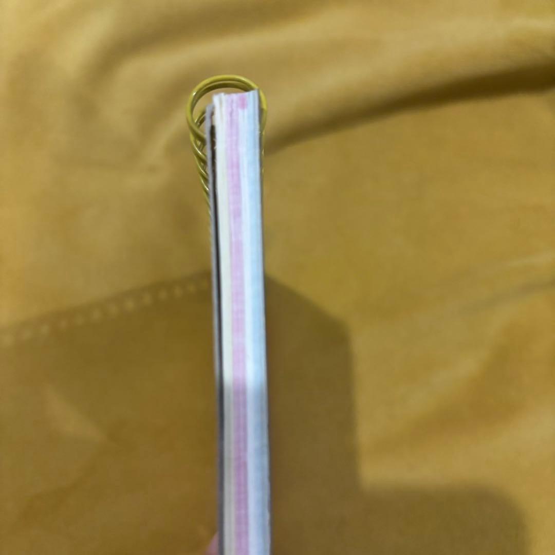 平成レトロ　フレッシュパインこはむ　Wリングメモ