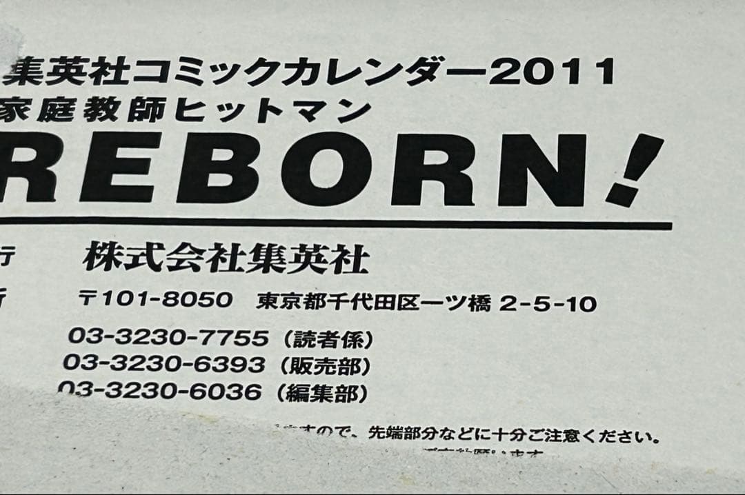 家庭教師ヒットマンREBORN！ カレンダー ポスター ボンゴレリング