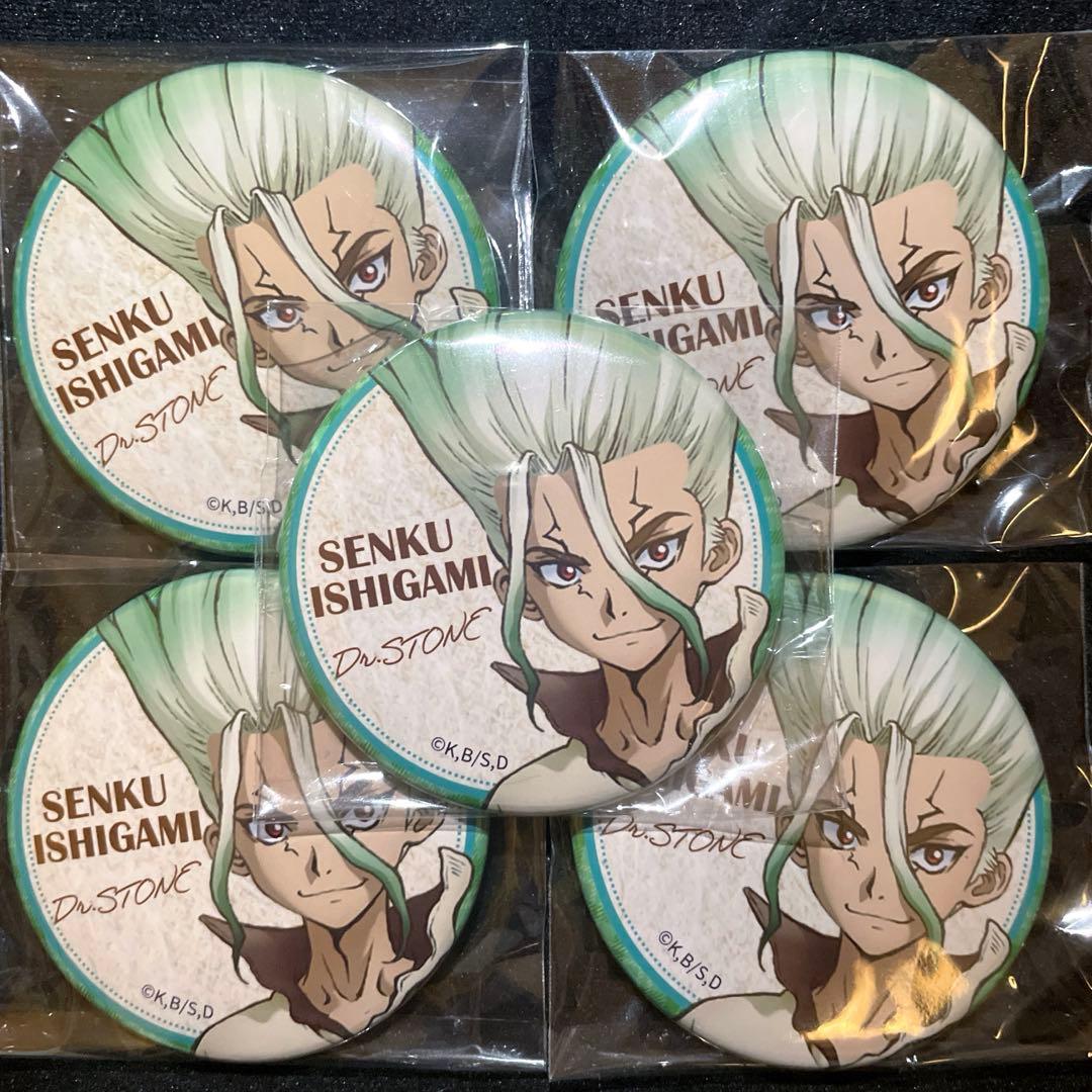 dr.stone 石神千空 アフタヌーンティー 缶バッジ 5個 千空 アニメガ