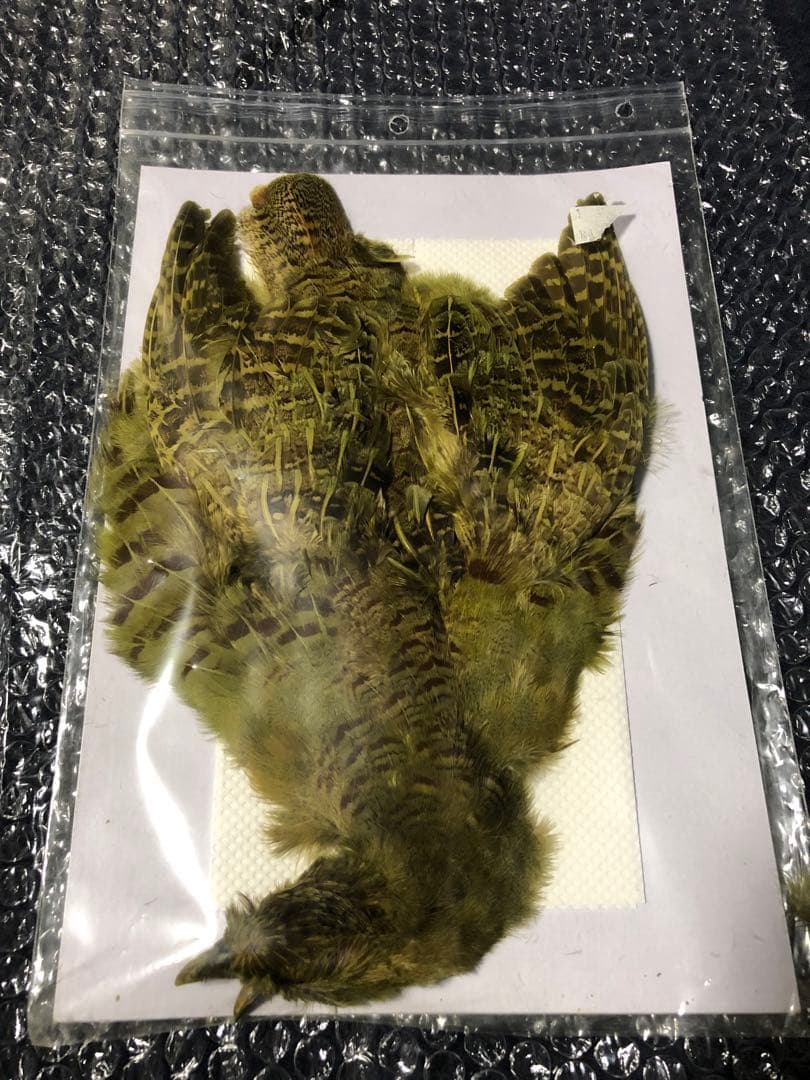 CANAL社　パートリッジ　オリーブ　No.1