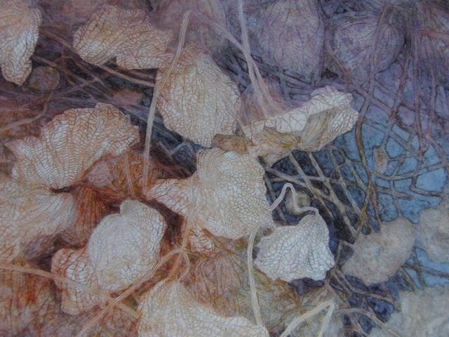 桝田隆一、【冬の蓮池】、希少な額装用画集より、状態良好、新品額装付、日本人画家