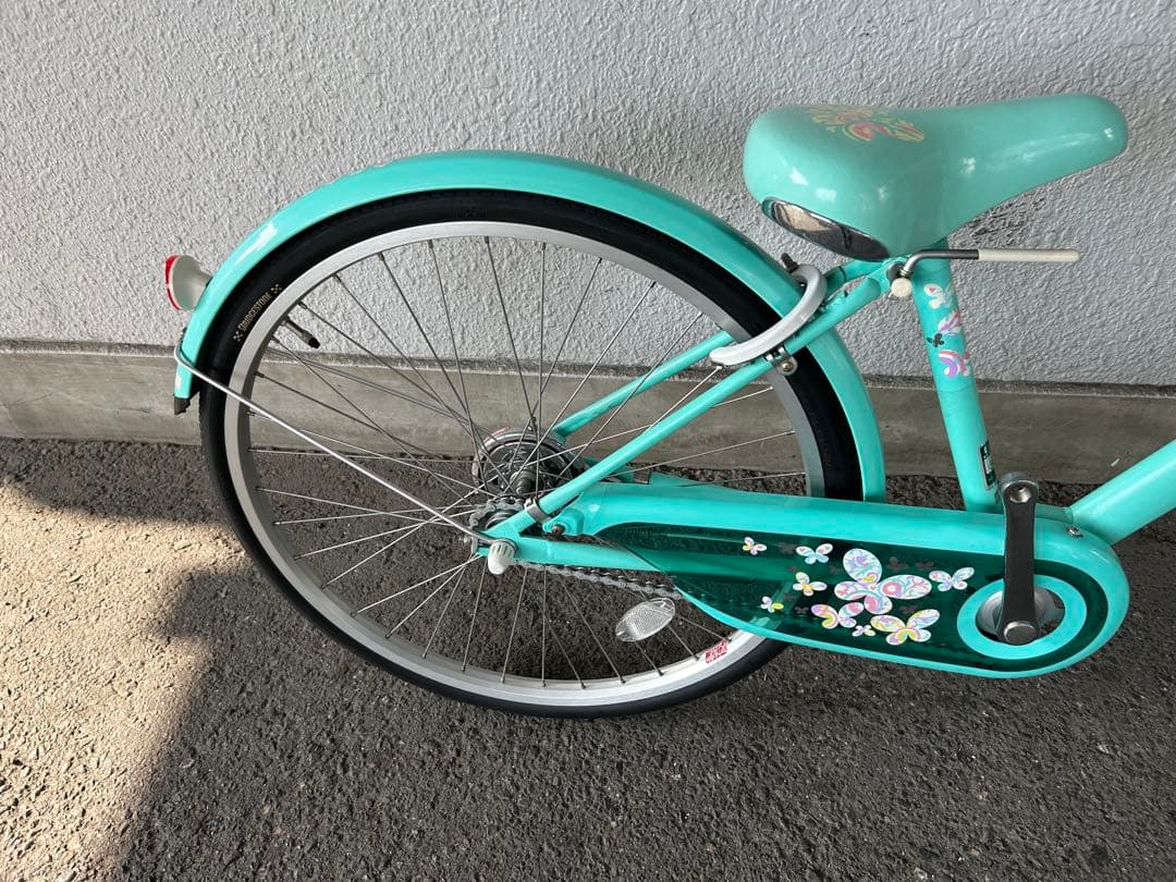 新品未使用ブリジストン★エコパル２4愛知県限定手渡のみ名古屋市中村区北区配送無料