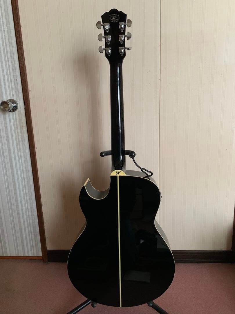 washburn/ワッシャバーン エレアコ ヌーノベッテンコート