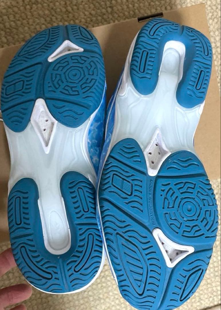 ミズノ ウェーブダイバースLG5 25周年限定版 23.5cm