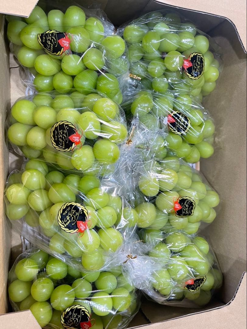 ⑨【島根県産】シャインマスカット約5キロ