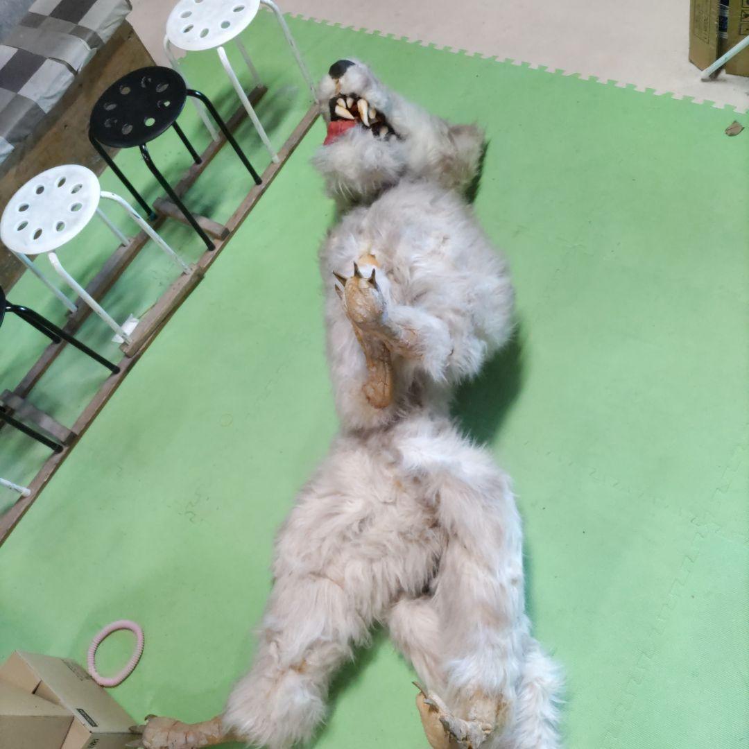 【激レア】劇団★新感線の小道具　オオカミ（LOST SEVEN　1999年公演）