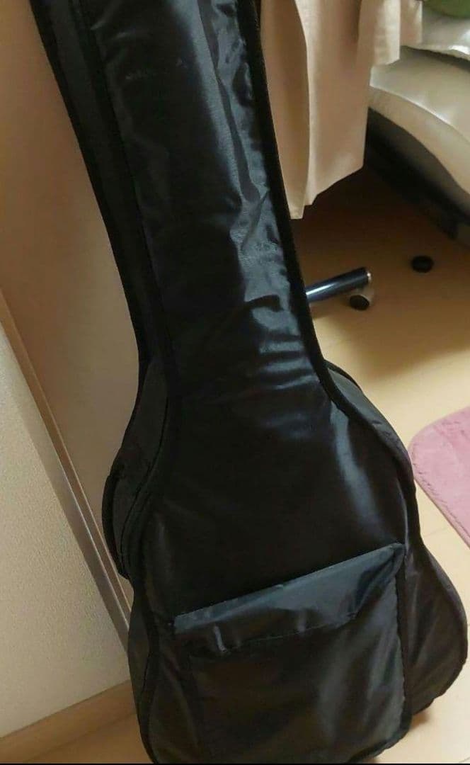 アコースティックギター Sepia Crueケース付き