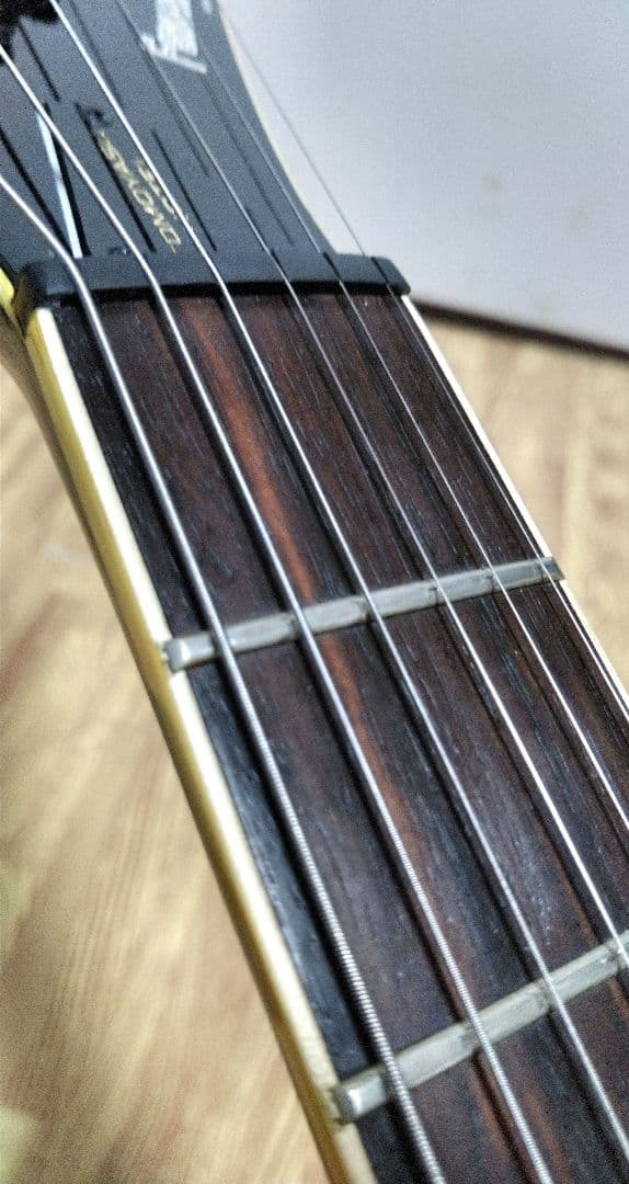 布袋モデル　FERNANDES TE-95HT　レザーケース　ストラップ付き