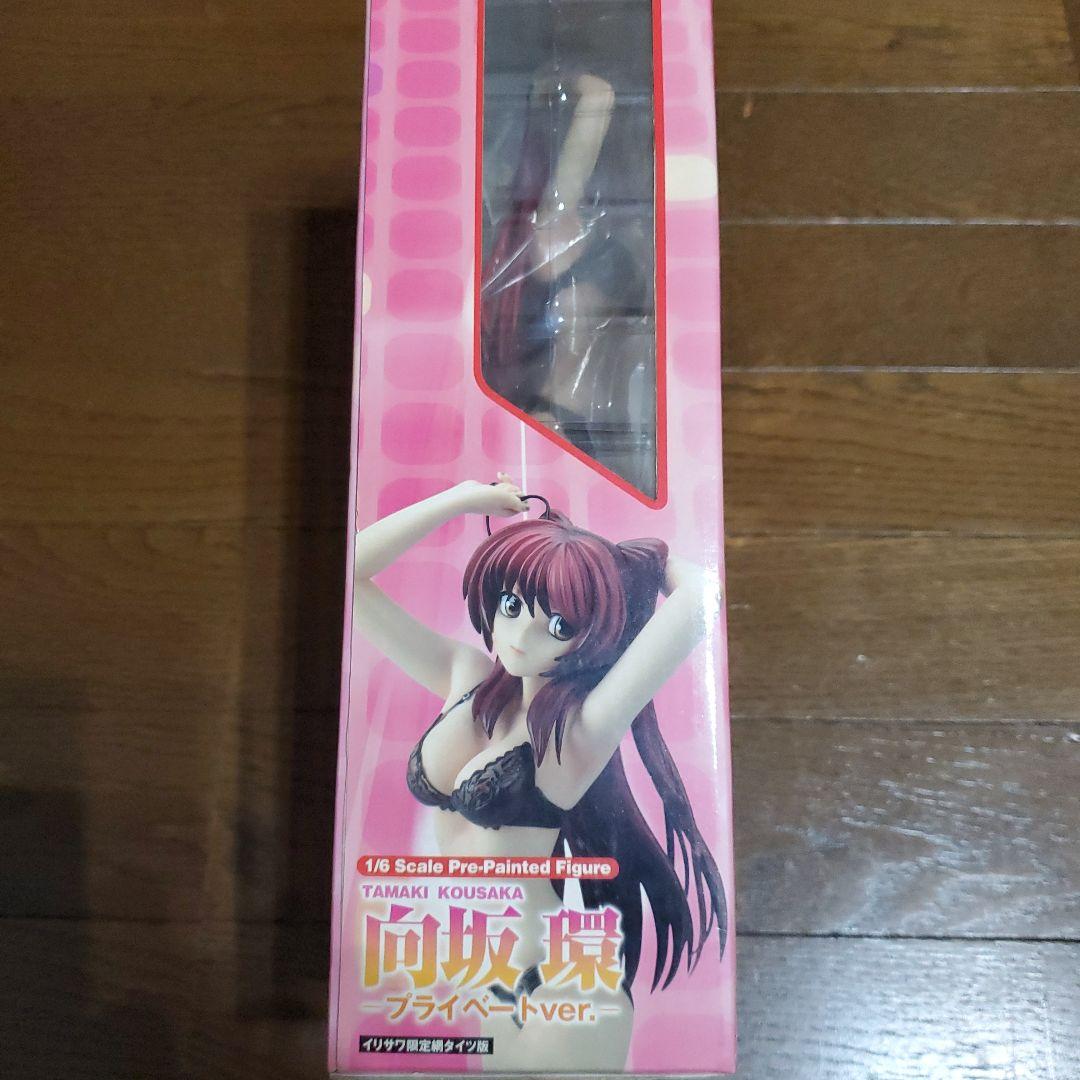 向坂 環 1/6スケール プライベートver. イワサワ限定網タイツ版