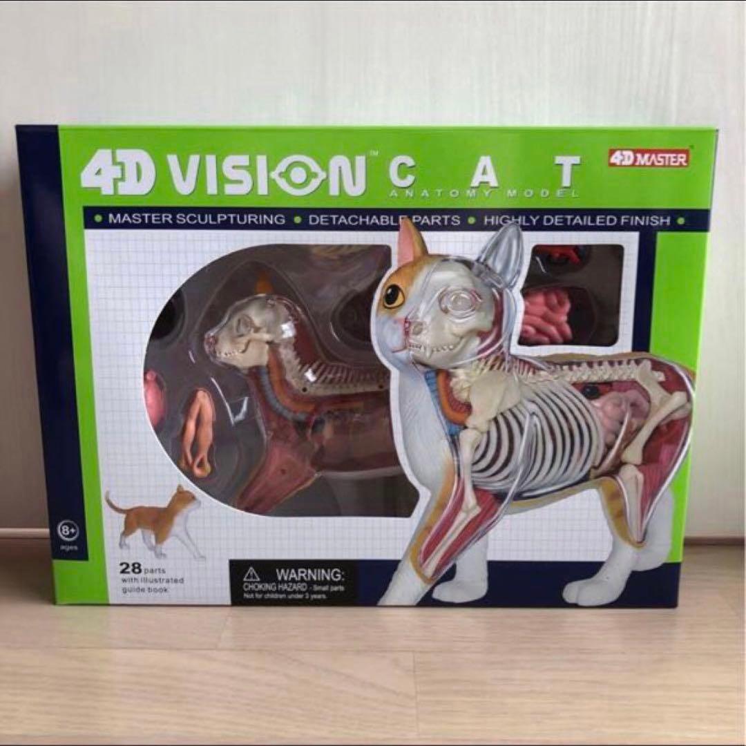 スカイネット立体パズル 4D VISION 猫解剖 モデル 茶白 青島文化教材社