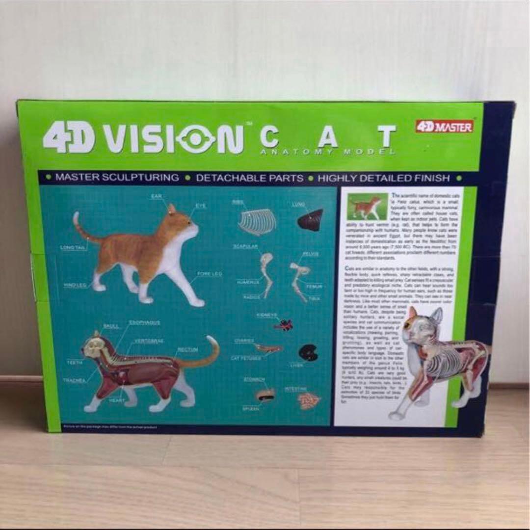 スカイネット立体パズル 4D VISION 猫解剖 モデル 茶白 青島文化教材社