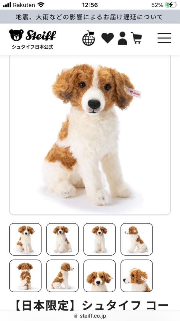 シュタイフ コーイケルホンディエ 25cm 日本限定