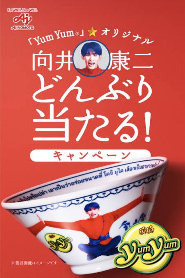 向井康二 グッズ