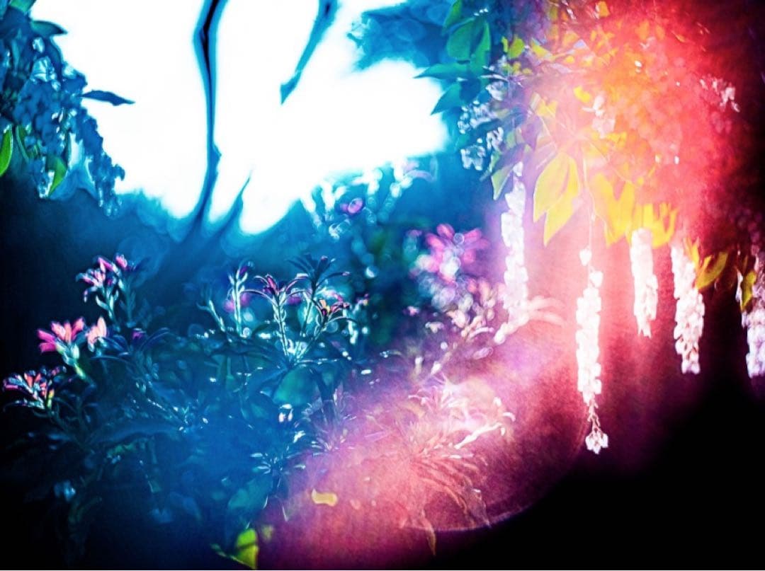 武田陽介 写真 現代アートプリント 072353 Yosuke Takeda