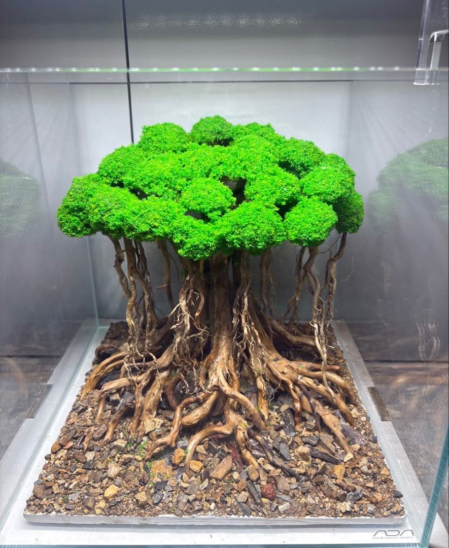 人工盆栽流木　アクアリウム