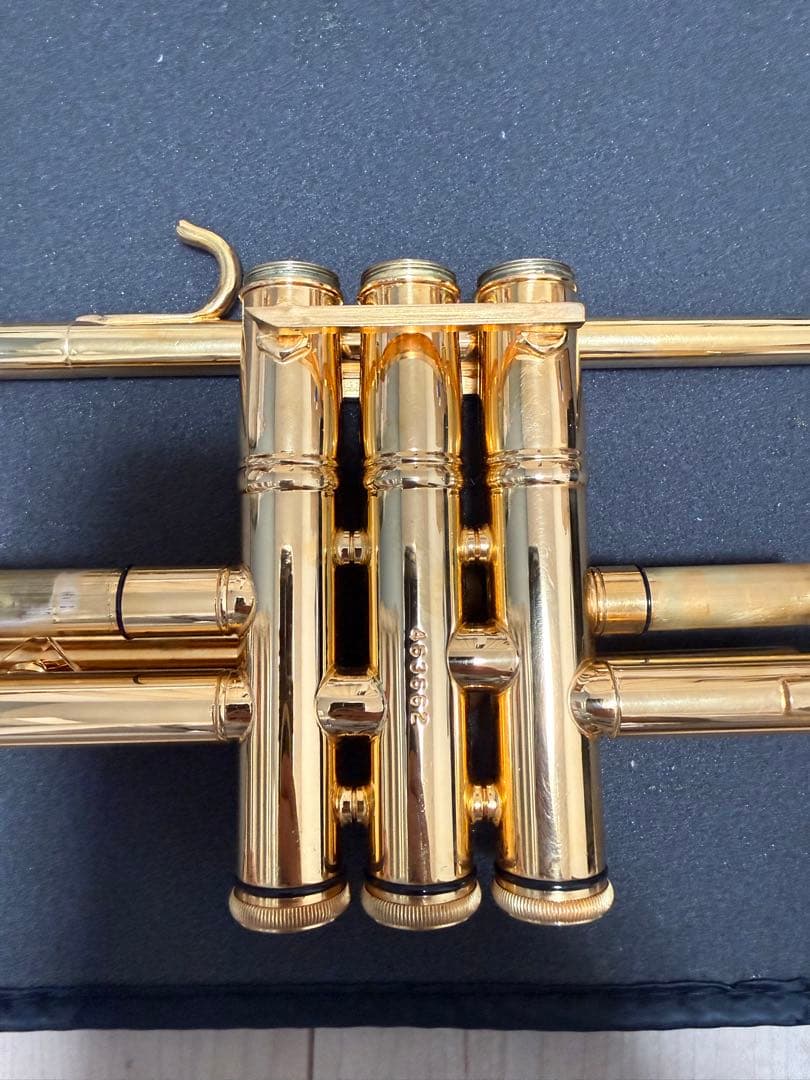 バック　スパーダ　ML37GBGP Bach SPADA